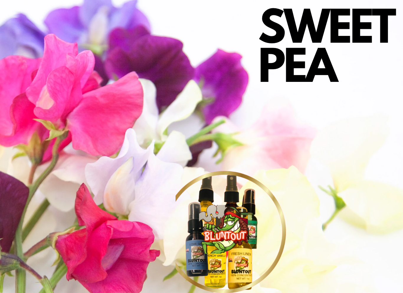 BLUNTOUT SWEET PEA OIL BASED AIR FRESHENER