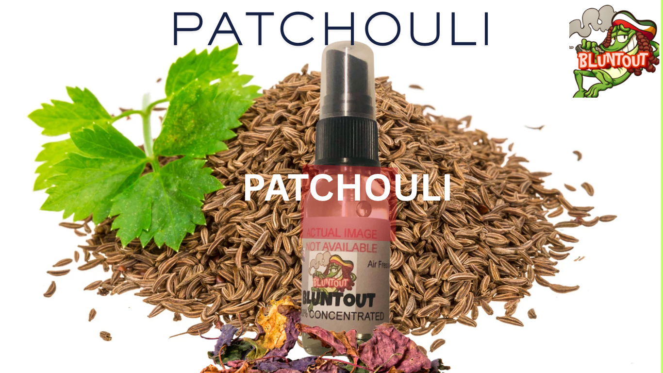 BLUNTOUT PATCHOULI OIL BASED AIR FRESHENER