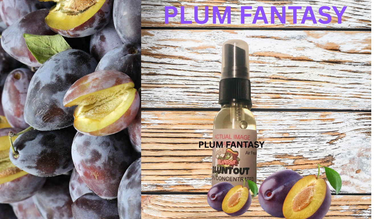 BLUNTOUT PLUM FANTASY OIL BASED AIR FRESHENER