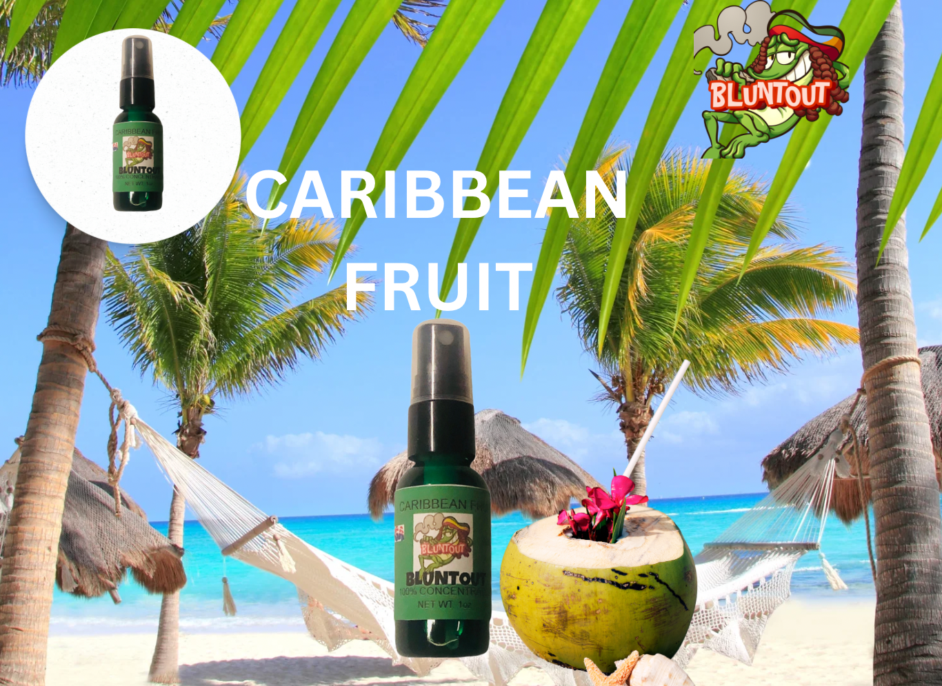 BLUNTOUT CARIBBEAN FRUIT OIL BASED AIR FRESHENER