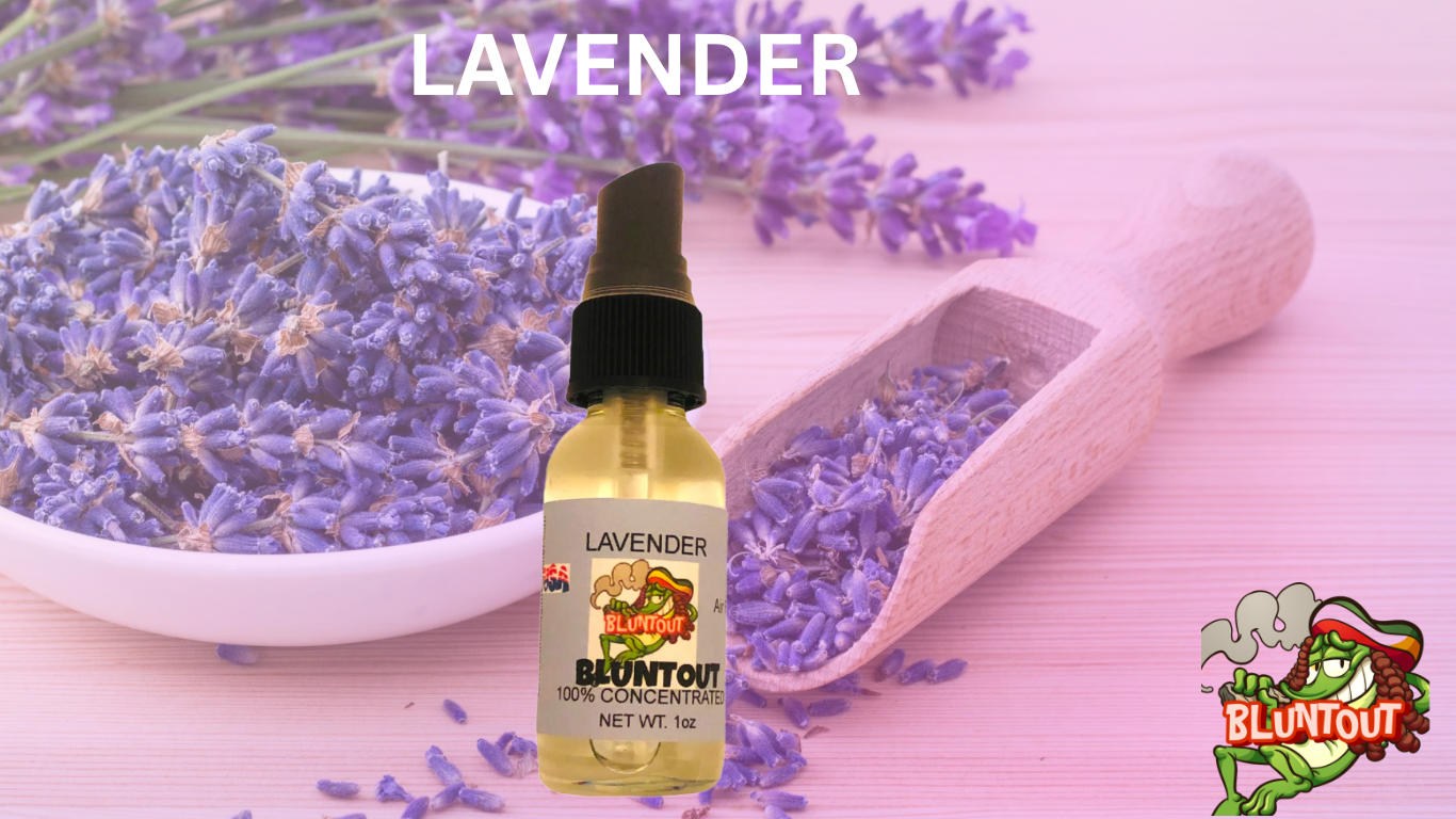 BLUNTOUT LAVENDER OIL BASED AIR FRESHENER