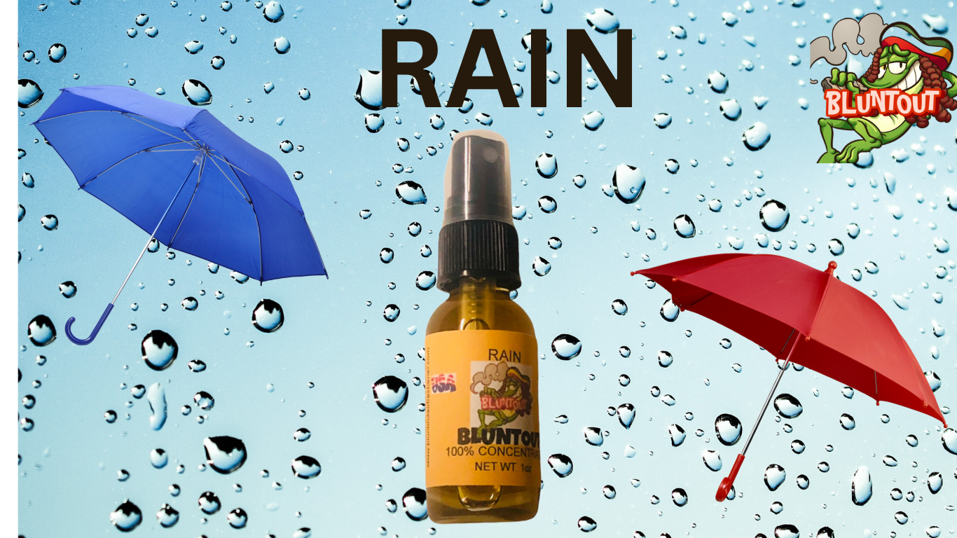 BLUNTOUT RAIN OIL BASED AIR FRESHENER