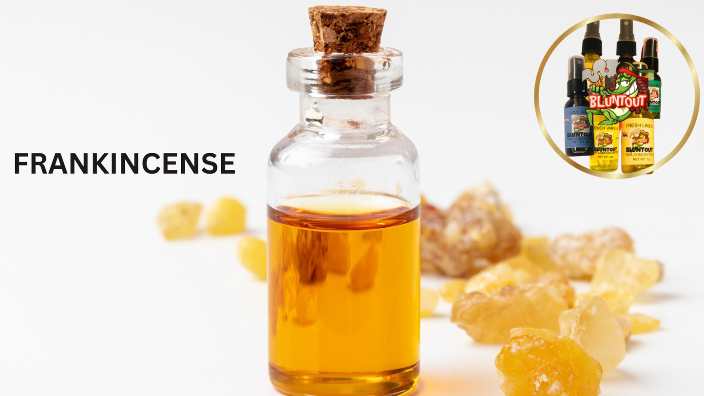 BLUNTOUT FRANKINCENSE - OIL BASED AIR FRESHENER