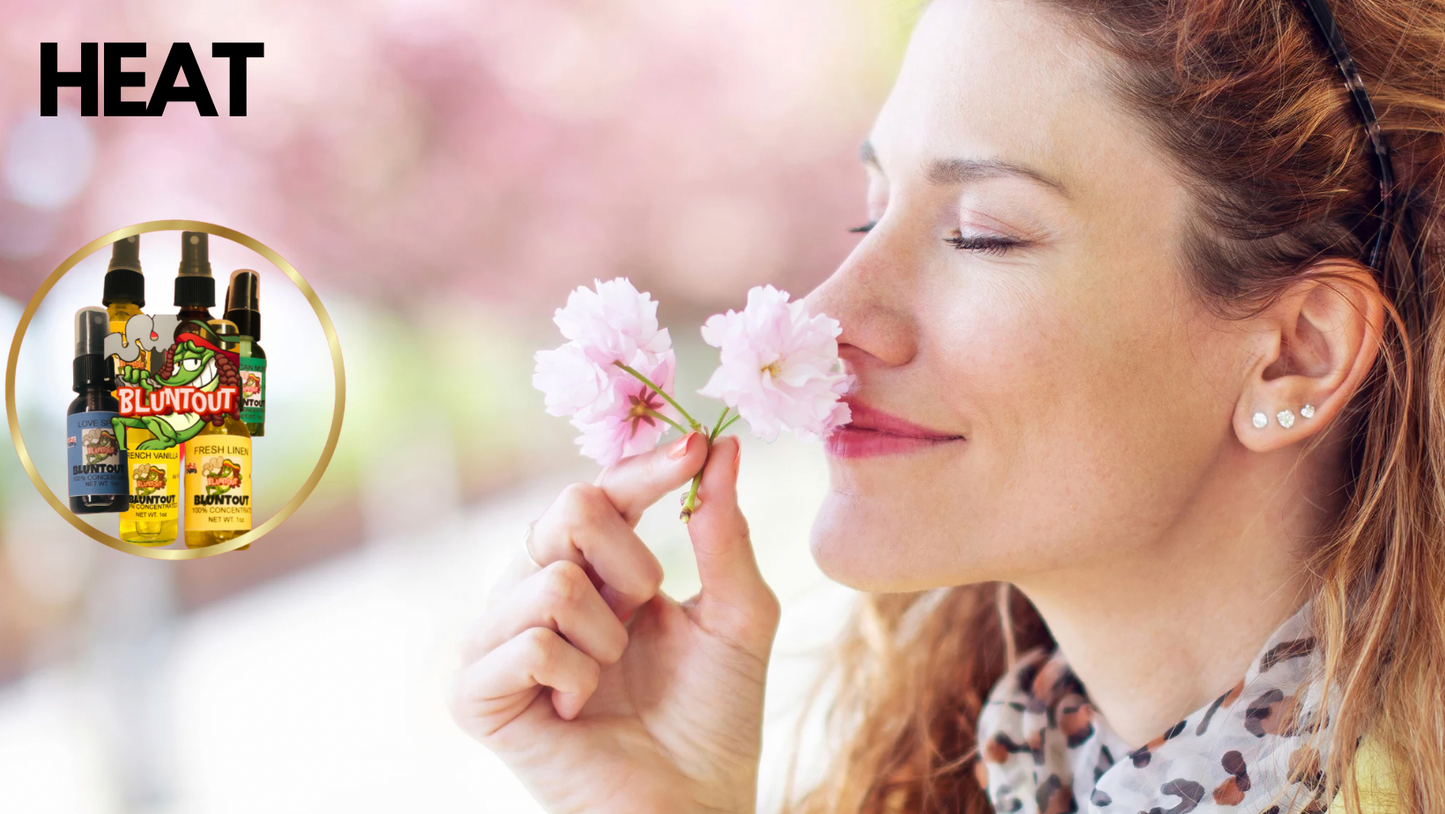 BLUNTOUT HEAT(Type)-OIL BASED AIR FRESHENER