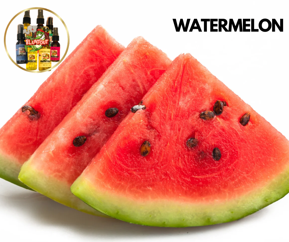 BLUNTOUT WATERMELON OIL BASED AIR FRESHENER
