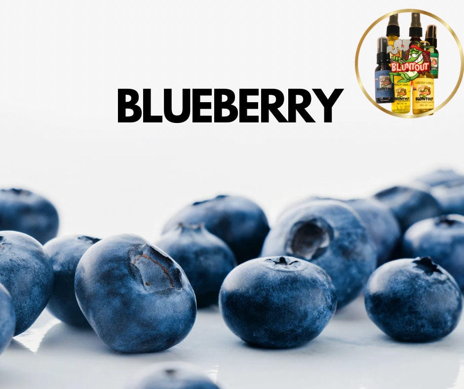 BLUNTOUT BLUEBERRY OIL BASED AIR FRESHENER